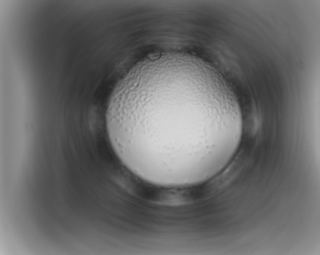 X0000115500179200911131328