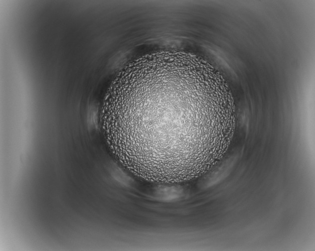 X0000115500185200911131328