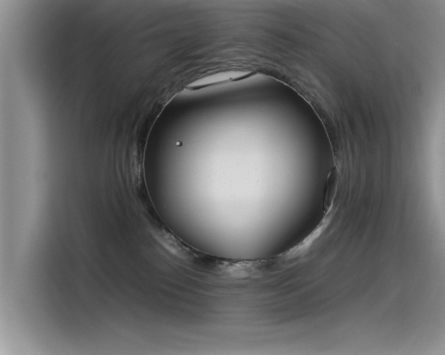 X0000115500186200911131328
