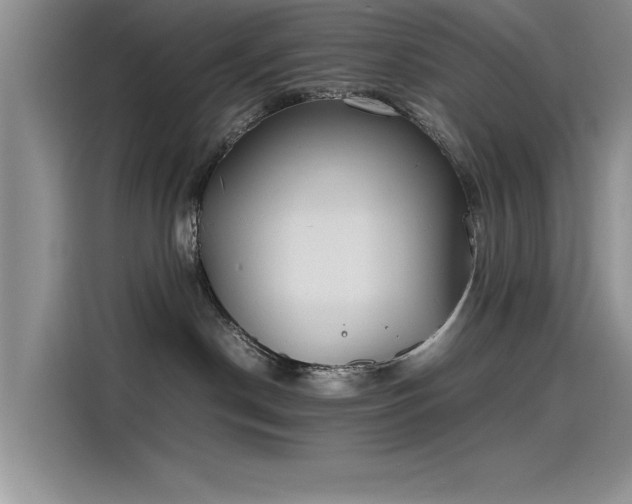 X0000115500190200911131328