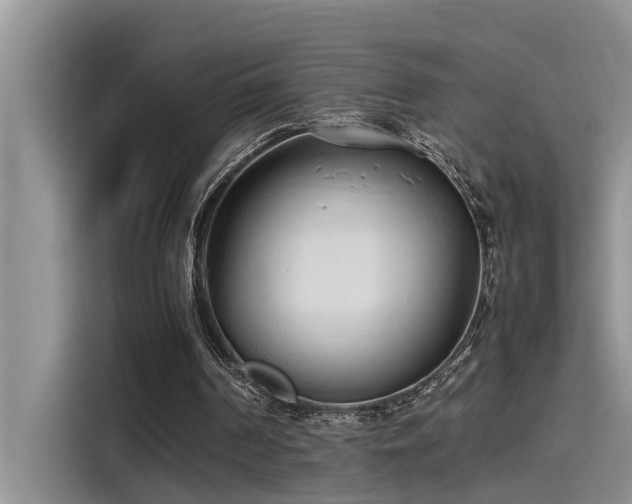 X0000115500194200911131328