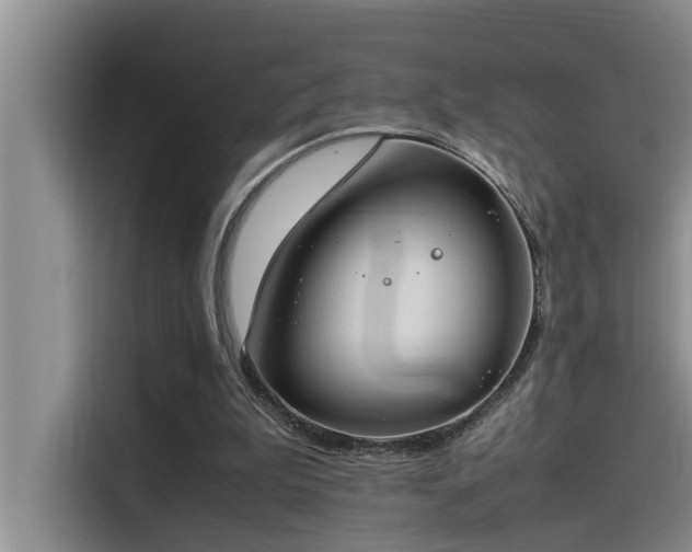 X0000115500199200911131328