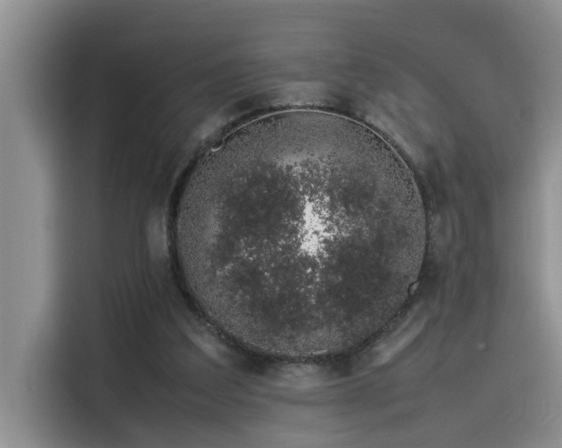 X0000115500203200911131327