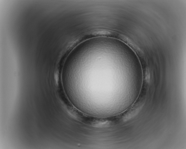 X0000115500206200911131327