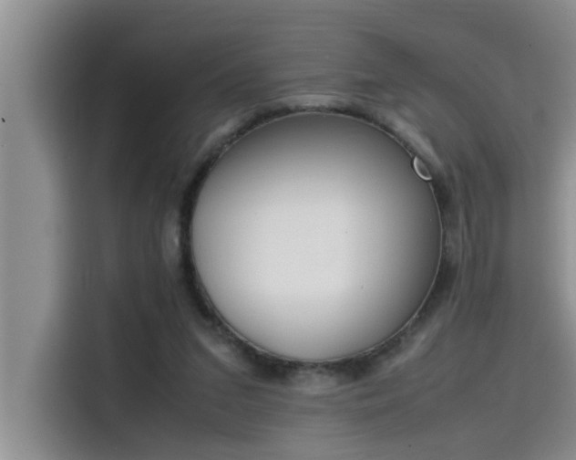 X0000115500207200911131327