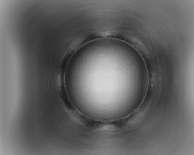 X0000115500210200911131327