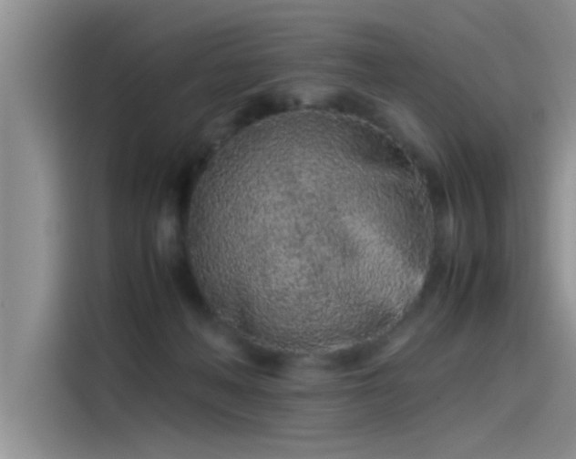 X0000115500222200911131327