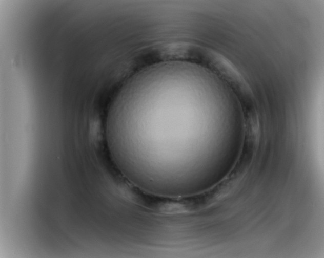 X0000115500224200911131327
