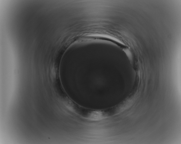 X0000115500227200911131327