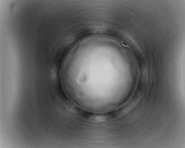 X0000115500228200911131327