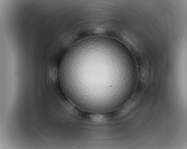 X0000115500230200911131327