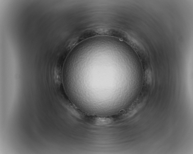X0000115500234200911131327