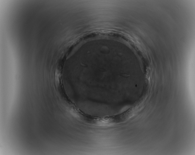 X0000115500235200911131327