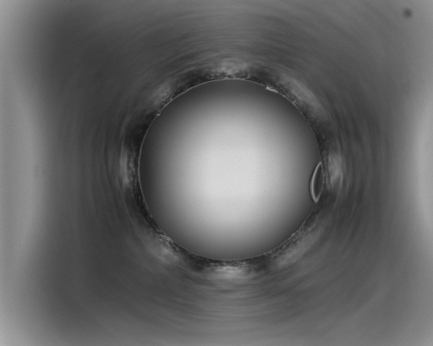 X0000115500236200911131327