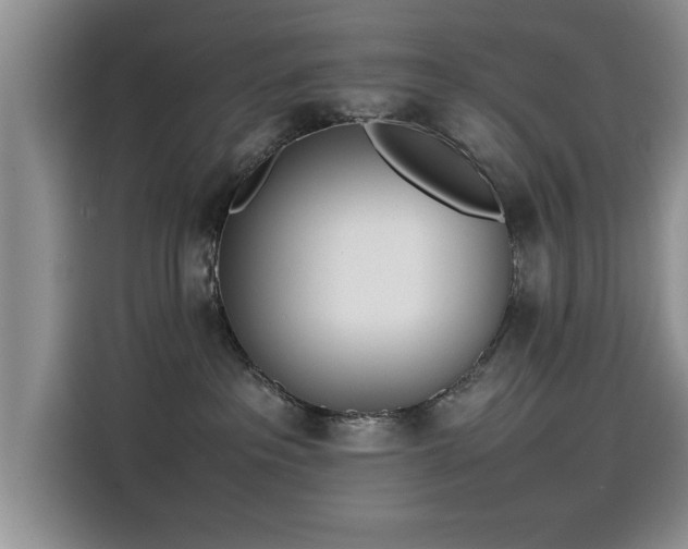 X0000115500237200911131327