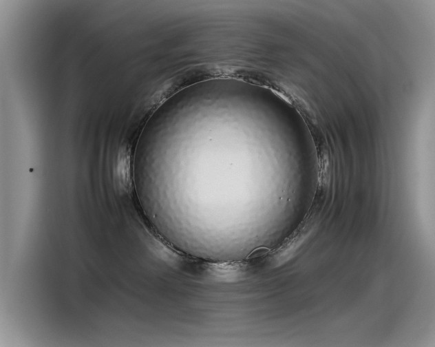 X0000115500238200911131327
