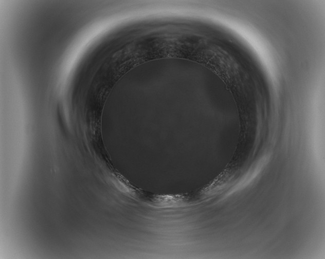 X0000115500239200911131327