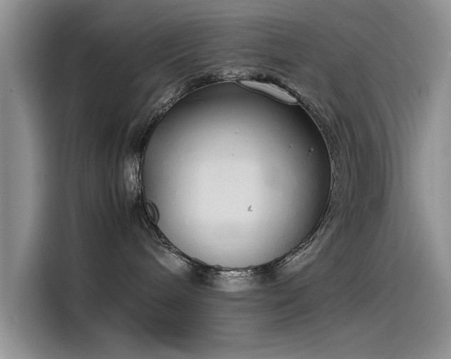X0000115500240200911131327