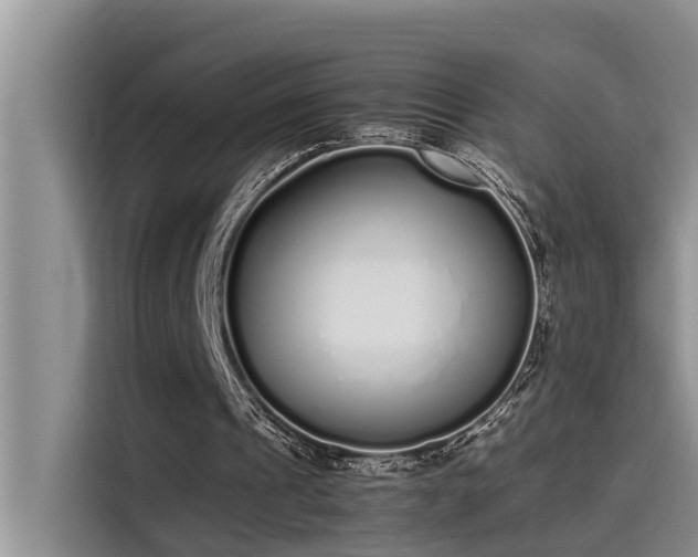 X0000115500241200911131326