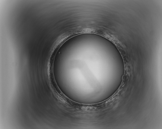 X0000115500242200911131326