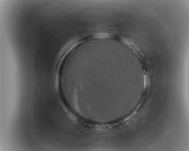 X0000115500243200911131326
