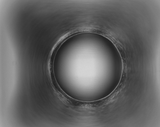 X0000115500244200911131326