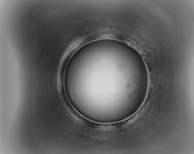 X0000115500245200911131326