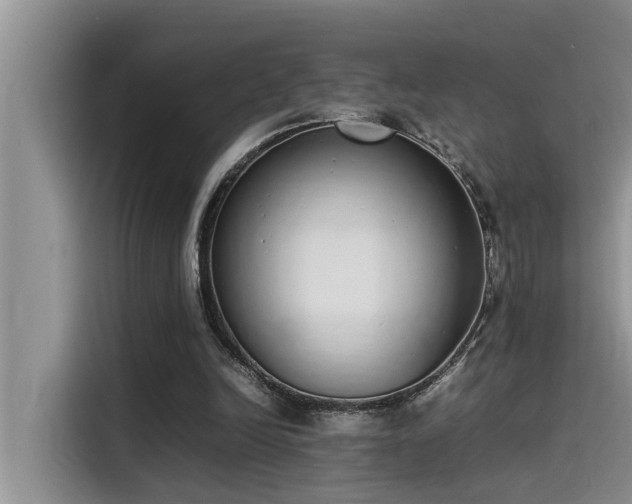 X0000115500246200911131326