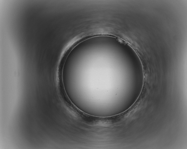 X0000115500248200911131326