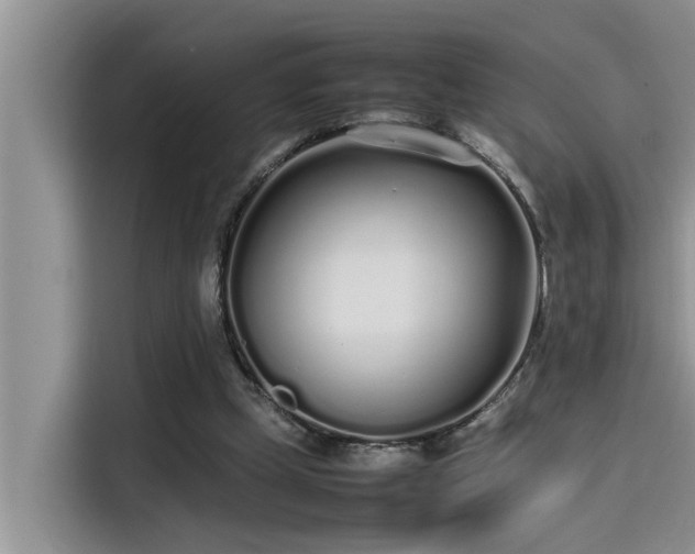 X0000115500249200911131326