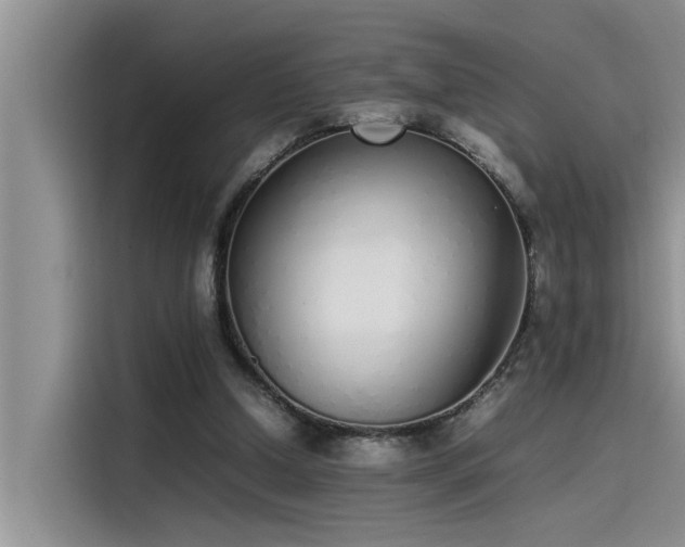 X0000115500250200911131326