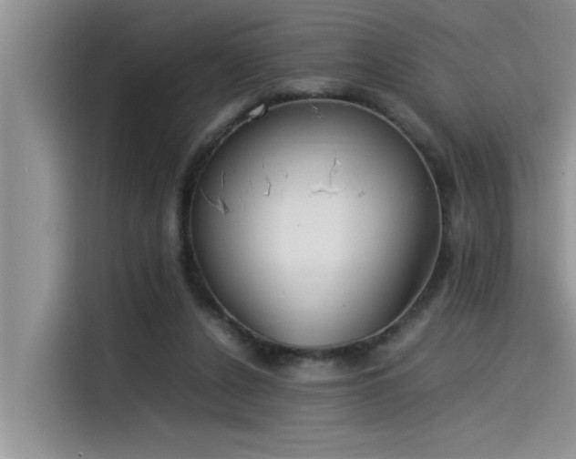 X0000115500256200911131327