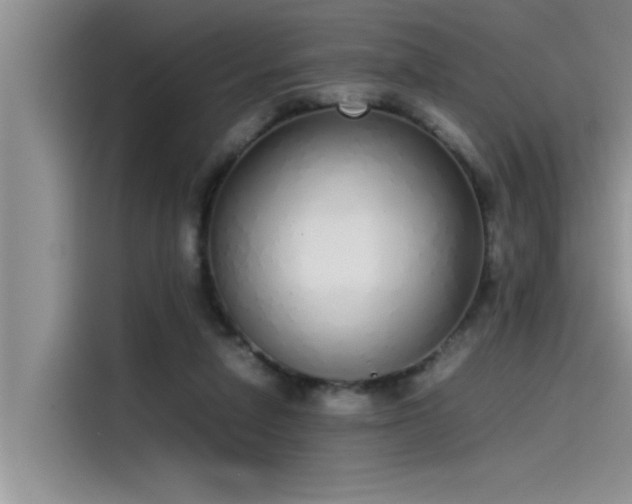 X0000115500258200911131327