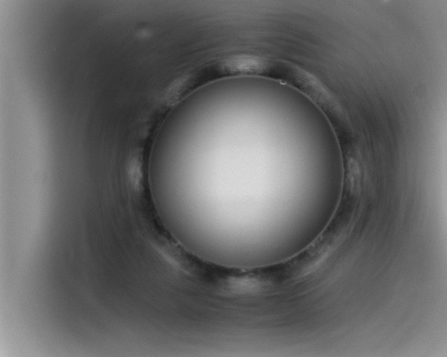 X0000115500259200911131327