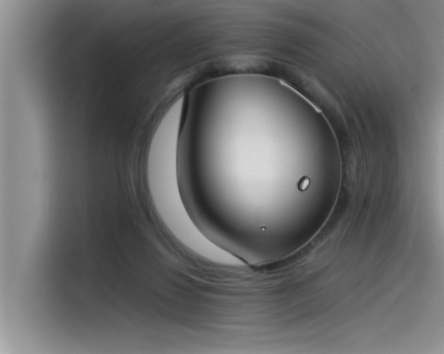 X0000115500260200911131327