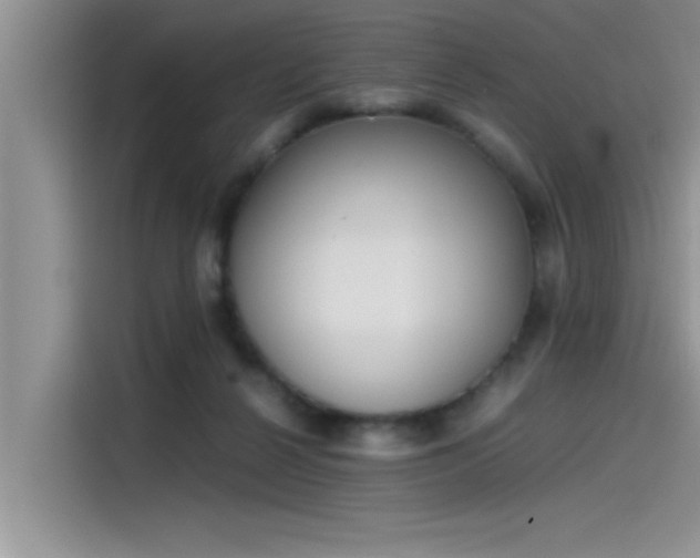 X0000115500264200911131327