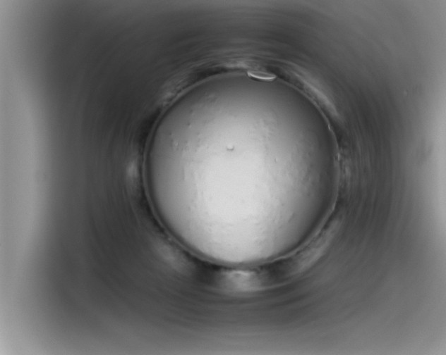 X0000115500265200911131327