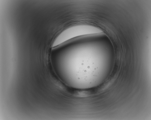 X0000115500268200911131327