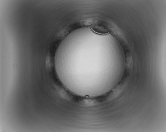 X0000115500272200911131327