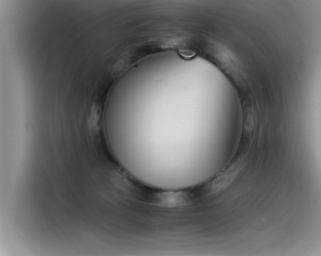 X0000115500273200911131327