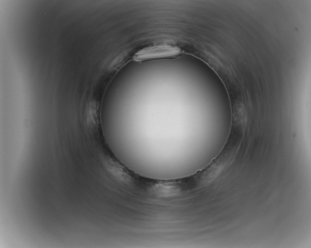 X0000115500280200911131327