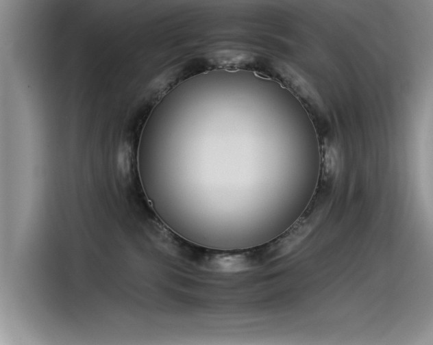 X0000115500283200911131327