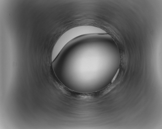 X0000115500284200911131327