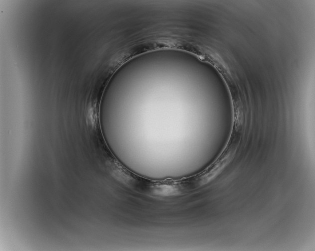 X0000115500285200911131327