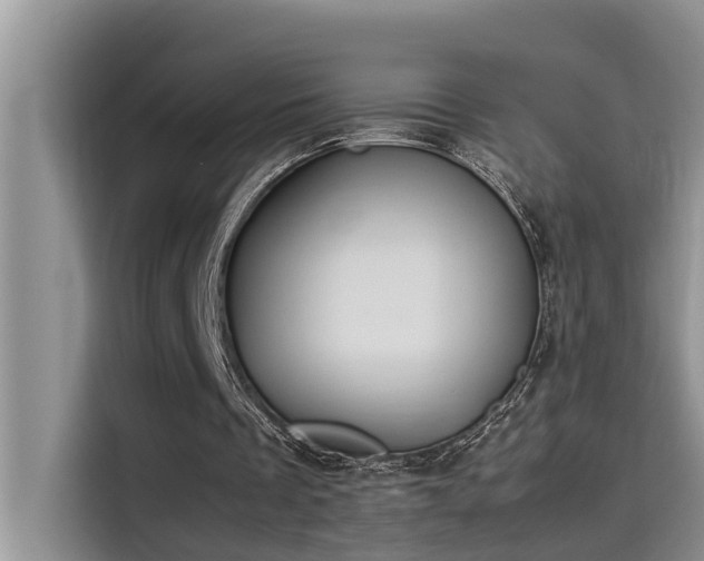 X0000115500289200911131326