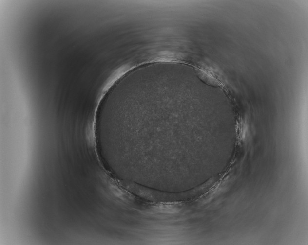 X0000115500292200911131326