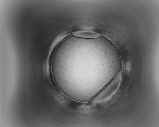 X0000115500294200911131326