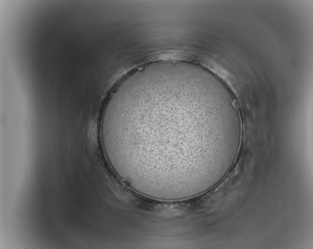 X0000115500297200911131326