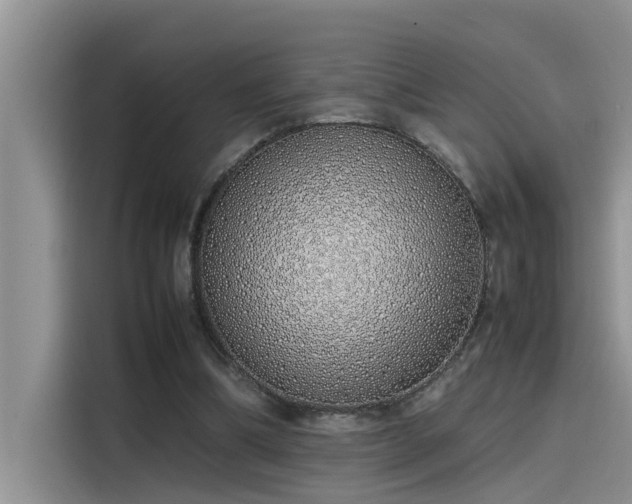 X0000115500298200911131326