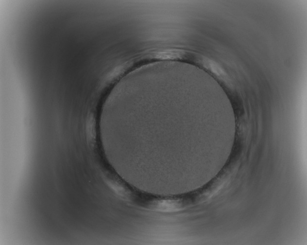 X0000115500303200911131326